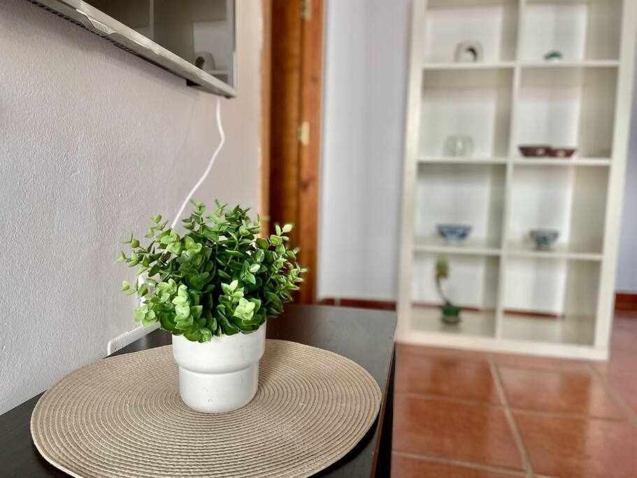 נרחה Apartamento Cerca De La Playa Torrecilla מראה חיצוני תמונה